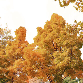 Herbstmonat Oktober